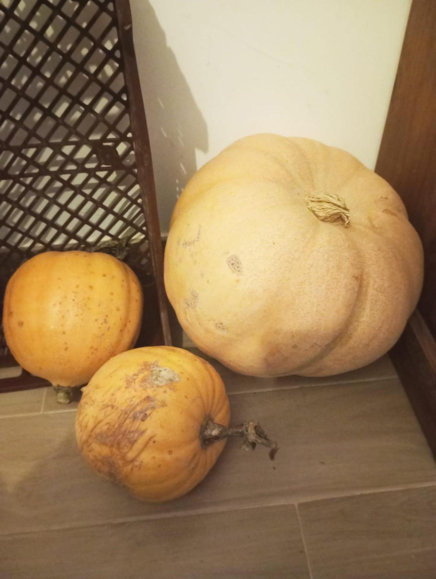 Vadocondes Chalet De Artistas מראה חיצוני תמונה